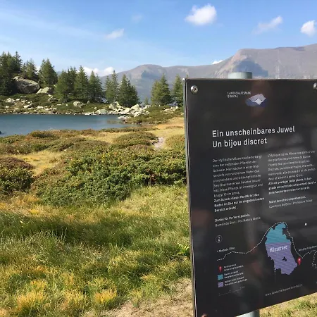 Huesmatta * Fieschertal