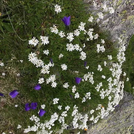 Appartement Huesmatta *