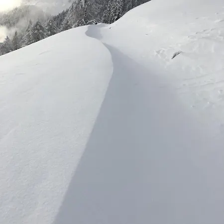 Daire Huesmatta Fieschertal