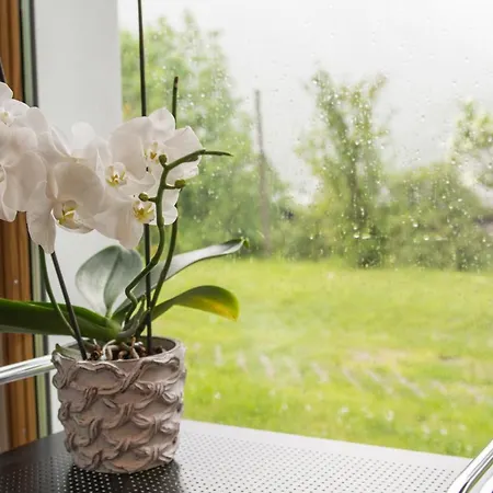 דירה Huesmatta *